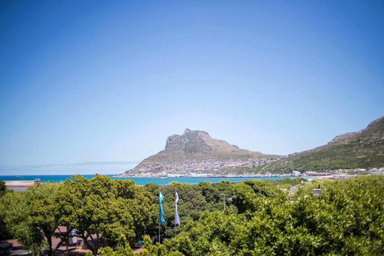 Dk Villas 1 Harbour View Hout Bay Exteriér fotografie